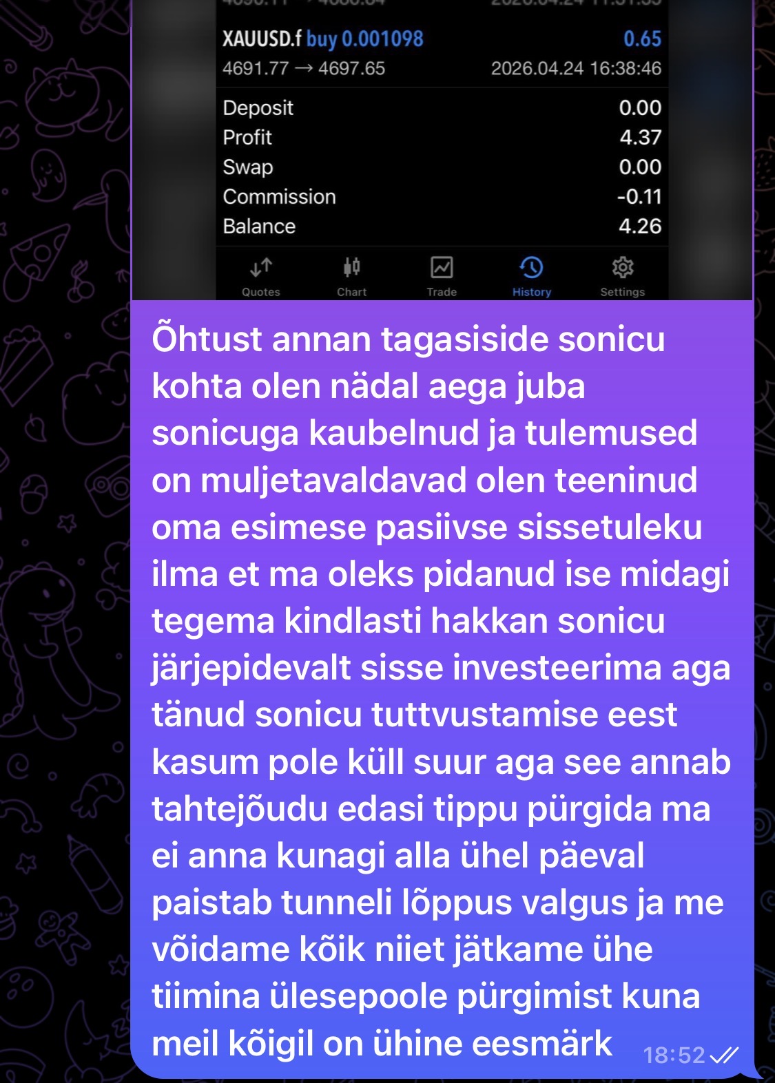 Sonic tagasiside 21